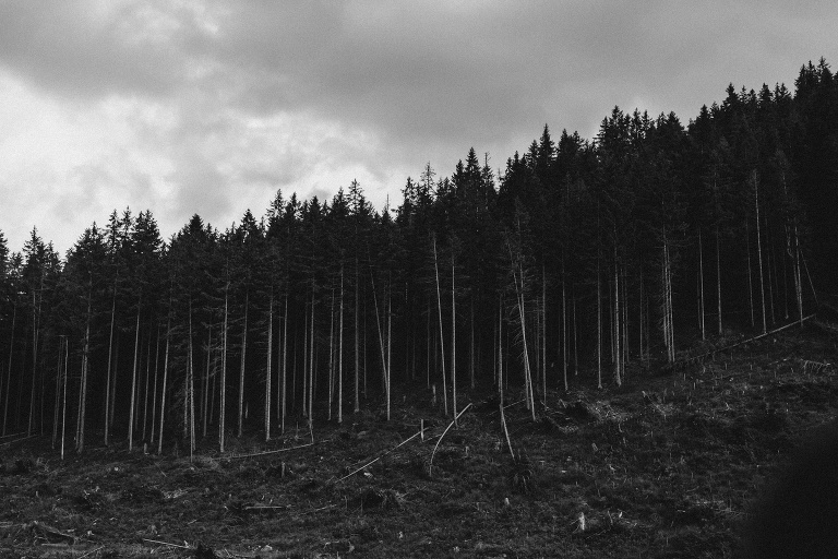 Iza i Michał - Sesja Ślubna w Tatrach 211 fotografia ślubna bochnia, Kasprowy, oryginalny plener ślubny, Robert Bereta, Sesja na Kasprowym, sesja ślubna, Sesja w górach, sesja w tatrach, Tatry